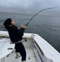 Fishing adventure in NY