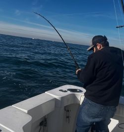 A person fishing in New York