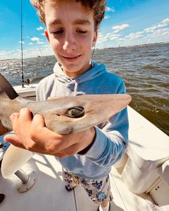 One person fishing in New York City