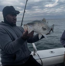 Angler fishing in New York City