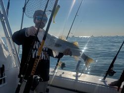 Grey Snapper caught while fishing in NY