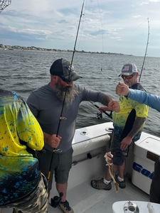Great fishing action in New York City waters!