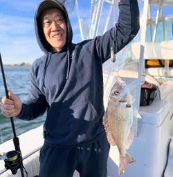 Scup fish caught while fishing in NY