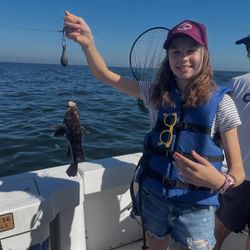 A fisherman hauling in a sea bass in New York