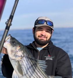 Striped bass fishing in New York City
