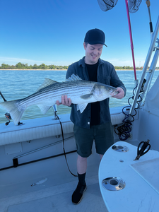 Nice striped bass from New York City waters!