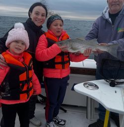 Striped bass being caught while fishing in NY