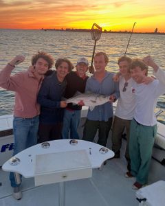 Striped bass caught while fishing in NY