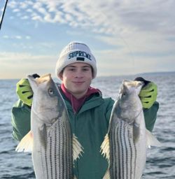Two striped bass caught while fishing in NY