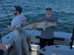 Striped Bass Fishing in New York City