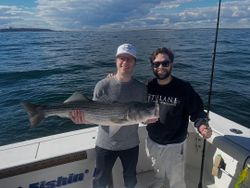 A striped bass caught by two people in New York City