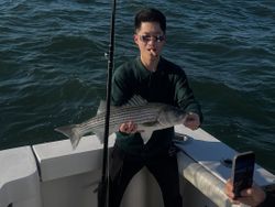 Striped bass caught while fishing in NY