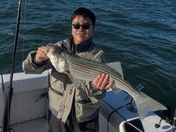 Striped bass caught while fishing in NY