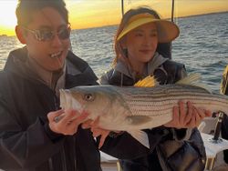 Striped bass caught fishing in NY