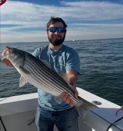 Striped bass caught while fishing in NY