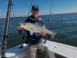 Striped bass caught in New York City