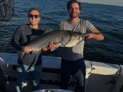 Striped bass caught by two people in New York City