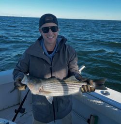 Striped bass caught by angler in New York City