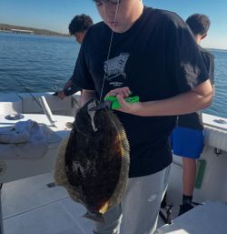 Summer Flounder caught while fishing in NY