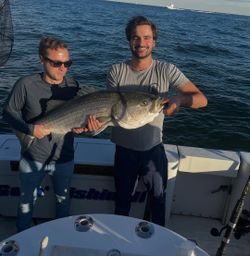 White Bass caught while fishing in New York City