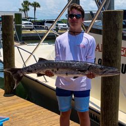 A great barracuda caught while fishing in FL