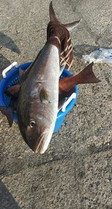 Fishing adventure in FL