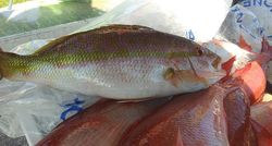 A scenic view of a fishing location in FL