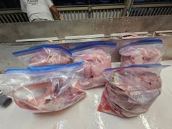 Fishing tour in Jacksonville, Florida