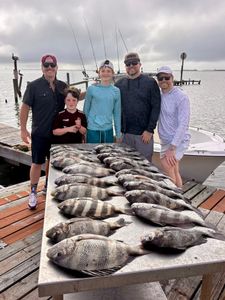 Successful sheepshead and black drum fishing charter catch displayed on dock in Port Orange FL