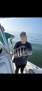 Sheepshead caught during fishing charter in Port Orange FL