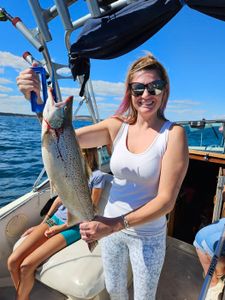 Atlantic salmon caught during fishing charter in Port Washington WI
