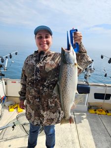 Atlantic salmon caught during fishing charter in Port Washington WI