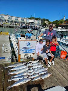 5 koi carp fish in a fishing cruises and fishing scene in WI