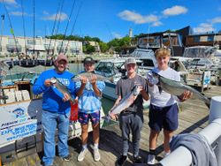 4 chinook salmon caught during fishing trip in Port Washington