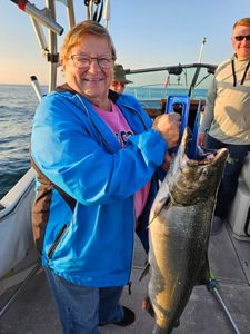 Chinook salmon caught in Port Washington
