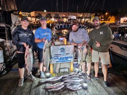 5 Chinook Salmon caught during a fishing cruises and fishing trip in Port Washington