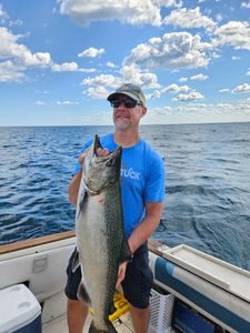Photograph of a Chinook Salmon, a 29-inch fish caught in WI