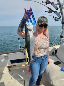 Chinook Salmon caught in Port Washington