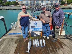 Fishing charter displaying fresh caught Chinook salmon on dock in Port Washington WI