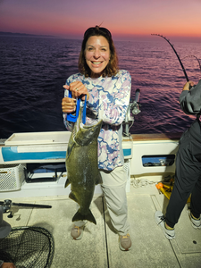 Nice Chinook salmon caught trolling at Port Washington Marina as the afternoon cleared up!