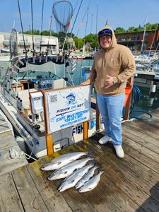 Two chinook salmon caught in WI