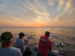 Scenic landscape in WI with fishing boats and cruises