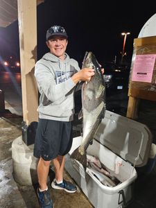 One person fishing in Port Washington