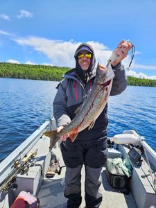 Lake trout caught while fishing in Port Washington WI displayed on boat