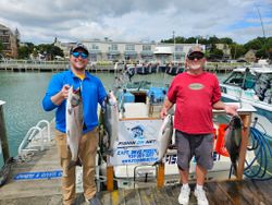 Four pink salmon caught in Port Washington