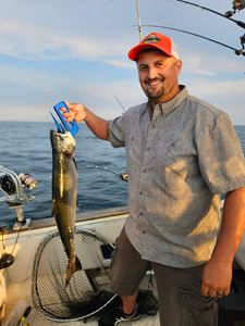 Coho salmon caught during fishing charter in Port Washington Wisconsin