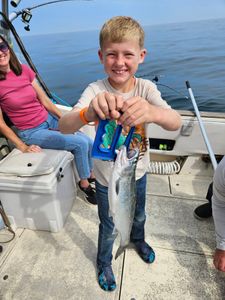 Coho salmon caught during fishing charter in Port Washington WI