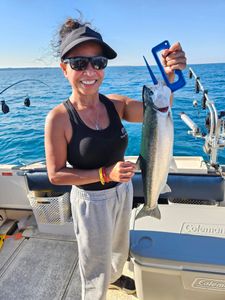 Coho salmon catch displayed on fishing boat in Port Washington WI