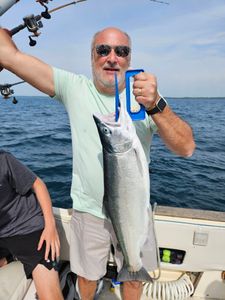 Coho salmon catch displayed on fishing boat in Port Washington WI