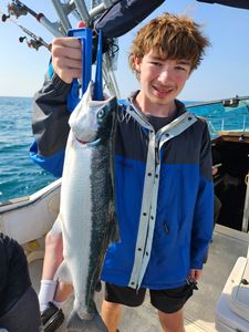 Coho salmon caught during fishing charter in Port Washington WI